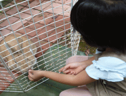 一日の生活イメージ